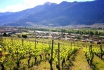 Dégustation de vin pour deux - Cave de l'Orlaya (VS) avec visite, apéro et bouteille offerte 1