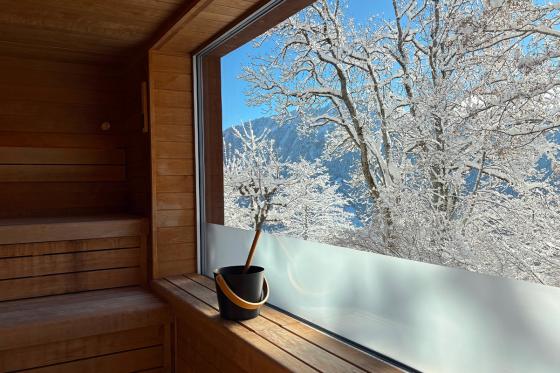 Wellnessaufenthalt in Leysin - 1 Übernachtung für 2 inkl. Buffet Abendessen, Frühstück & Spa 20 