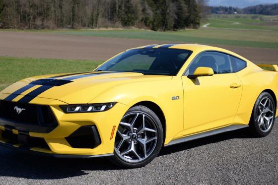 Ford Mustang GT - 1 Tag unter der Woche  