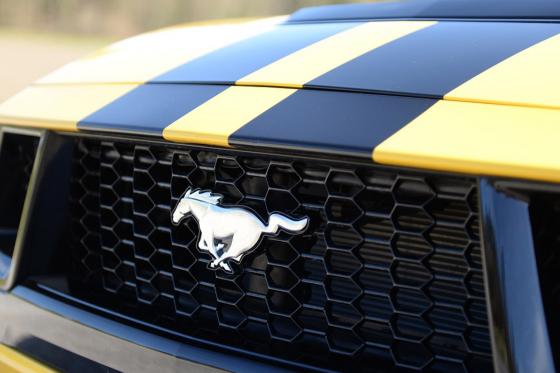 Ford Mustang GT - 1 Tag unter der Woche 6 