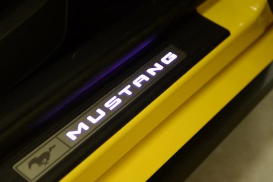 Ford Mustang GT - 1 Tag am Wochenende 7 