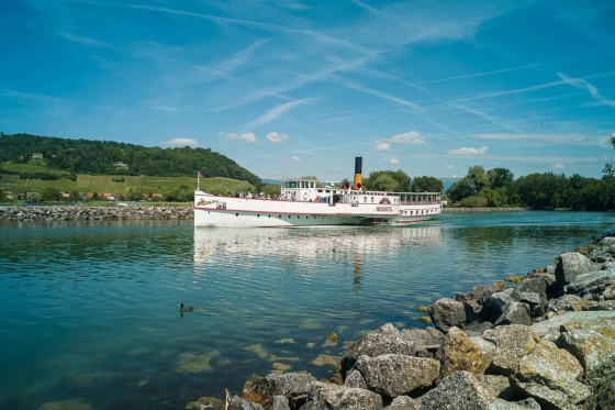 Carte journalière les 3 lacs - Valable sur les lacs de Neuchâtel et Morat - 1 personne 1 