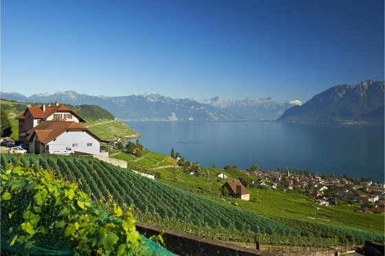 Dégustation de vin pour deux - Au Croix Duplex avec visite, apéro, kit du sommelier et bon CHF 20.- 1  Dégustation de vin pour deux - Au Croix Duplex avec visite, apéro, kit du sommelier et bon CHF 20.- 1