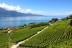 Dégustation de vin pour deux - Domaine Bovy (VD) avec visite, apéro et bouteilles offertes 5