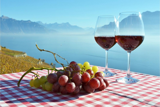 Dégustation de vins -Wishbox - 1 coffret - plus de 10 expériences 1 