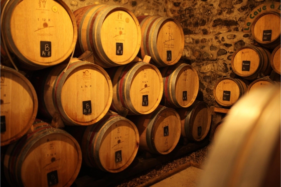 Dégustation de vin pour deux - Cave Philippe Bovet (VD) avec apéro, visite et 2 bouteilles offertes 2  Dégustation de vin pour deux - Cave Philippe Bovet (VD) avec apéro, visite et 2 bouteilles offertes 2