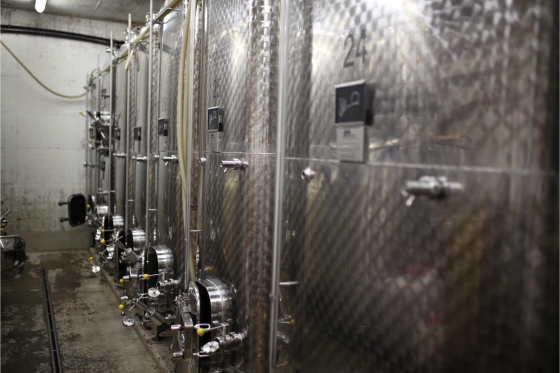 Dégustation de vin pour deux - Cave Philippe Bovet (VD) avec apéro, visite et 2 bouteilles offertes 4  Dégustation de vin pour deux - Cave Philippe Bovet (VD) avec apéro, visite et 2 bouteilles offertes 4