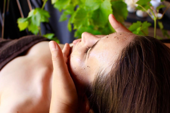 Nuit dans une chambre luxe - Inclus: Spa privatif, 2 soins Vinésime & petits-déjeuners 4 