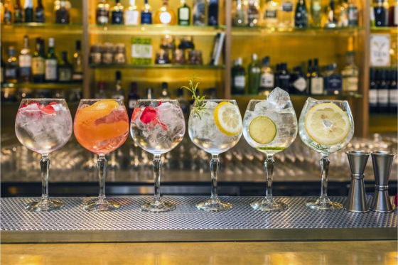 Dégustation de Gin - à Zürich 1  Dégustation de Gin - à Zürich 1