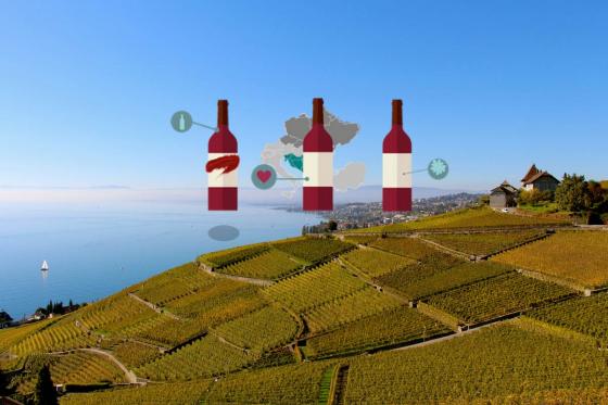 Abonnement de vins - Livraison pendant 12 mois à la maison 5 