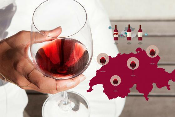 Abonnement de vins - Livraison pendant 12 mois à la maison 7 