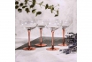 Design Champagnergläser - 4er Set 5
