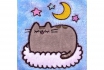 Mini bouillotte - Pusheen 6