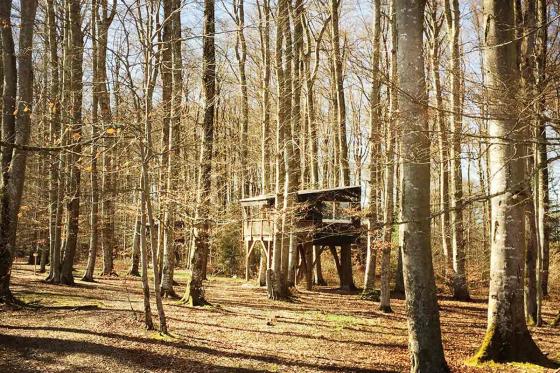 Nuitée dans une cabane - Séjour hors du temps pour 2 personnes, avec petit déjeuner 16 