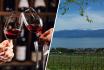 Dégustation de vin pour deux - Domaine de Mont sur Rolle ou de Tartegnin (VD) 1