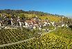 Dégustation de vin pour deux - Domaine de Mont sur Rolle ou de Tartegnin (VD) 2
