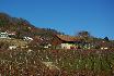 Dégustation de vin pour deux - Domaine de Mont sur Rolle ou de Tartegnin (VD) 3