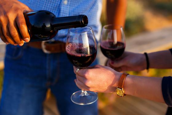 Dégustation de vin pour deux - Domaine de Mont sur Rolle ou de Tartegnin (VD)  