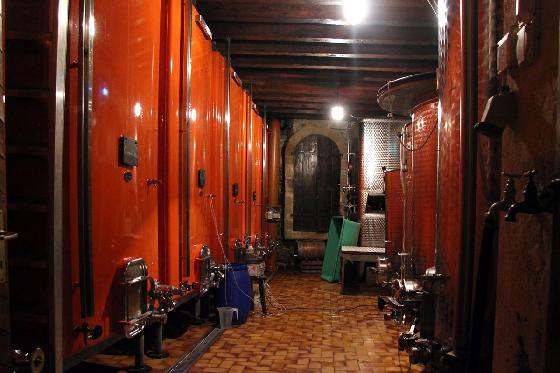 Dégustation de vin pour deux - Domaine de Mont sur Rolle ou de Tartegnin (VD) 5 