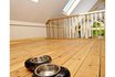 Fressnapf Hund - Knochen 1