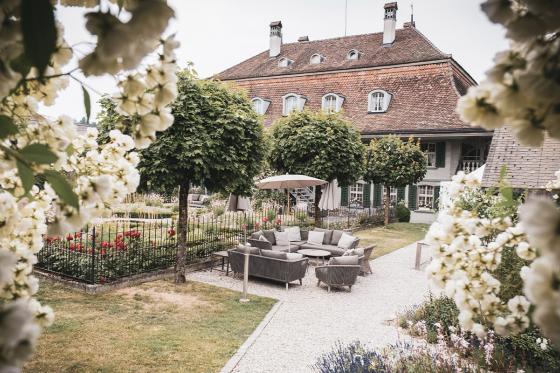 Rosen-Suite Übernachtung - für 2 Personen, So-Do einlösbar 12 