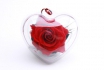 ROSE ÉTERNELLE - boîte en forme de cœur 