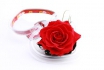 Ewig blühende Rose - in Herzbox 1