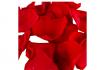 Pétales de roses éternelles - rouge 2