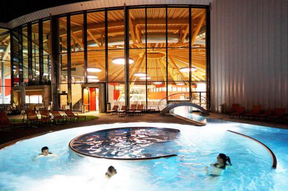 Nuit dans un 4* à Bâle - Entrée à aquabasilea pour la journée et un menu à 3 plats inclus 1 