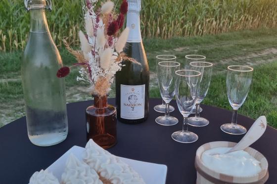Montgolfière & fondue dans le ciel - 1h de vol en Suisse romande pour 2 personnes 3 
