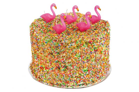 Flamingo Kerzen - 5 Kuchenkerzen 1 