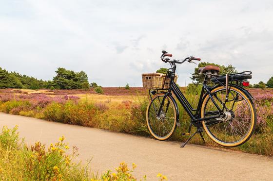 E-Bike Miete - 1 Tag für 1 Person 1 