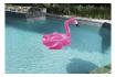 Schwimmtier - Flamingo - von Bestway 1