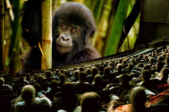 Entrée au musée des transports - 1 enfant de 6 à 16 ans 4 