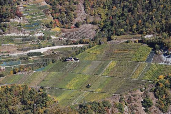 Auszeit in den Rebbergen - für 2 Personen, Gästehaus in Vex 1  Auszeit in den Rebbergen - für 2 Personen, Gästehaus in Vex 1