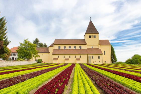 3 jours au lac de Constance - Sur l'île de Reichenau, avec massage et menu à 3 plats 23 