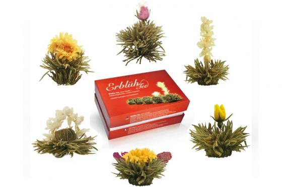 Erblühtee 6er Box - Frühjahreslese  