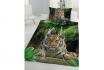 Bettwäsche Tiger - 160x210 & 65x100cm 