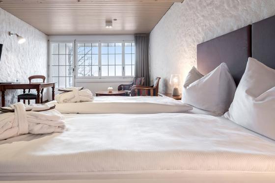 Schloss-Hotel Übernachtung - mit Sicht auf den Vierwaldstättersee 1 