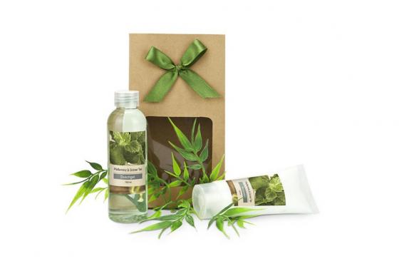 Wellness-Set Minze - 2-teilig  