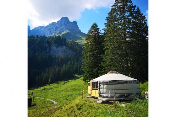 Jurten Übernachtung - 1 Nacht in der 5 Billionen Sterne Panorama Jurte | 2 Personen 1 