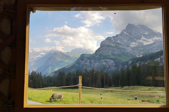 Jurten Übernachtung - 1 Nacht in der 5 Billionen Sterne Panorama Jurte | 2 Personen 5 