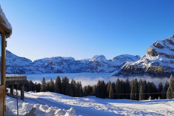 Jurten Übernachtung - 1 Nacht in der 5 Billionen Sterne Panorama Jurte | 2 Personen 17 