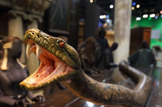 Découverte de Londres - Avec visite des sudios Warner Bros. 