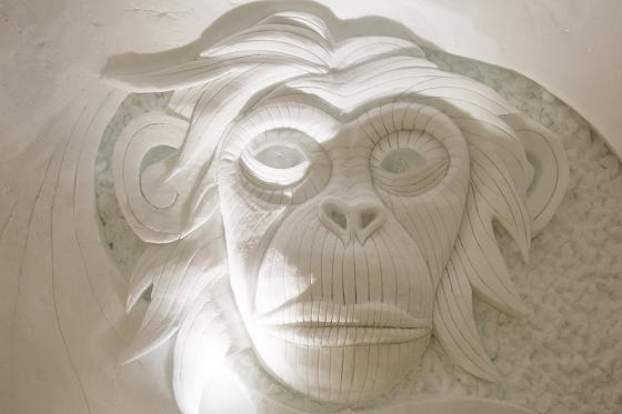 Fondue Spass - im Iglu für 2 Personen 14 