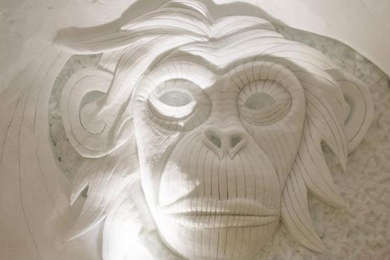 Iglu Übernachtung Family - für 1 Kind und 2 Erwachsene inkl. Fondue & Schneeschuhtour 13 