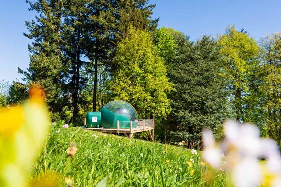 Bubble-Suite im Grünen - 1 Übernachtung für 2 Personen inkl. Frühstück 4 