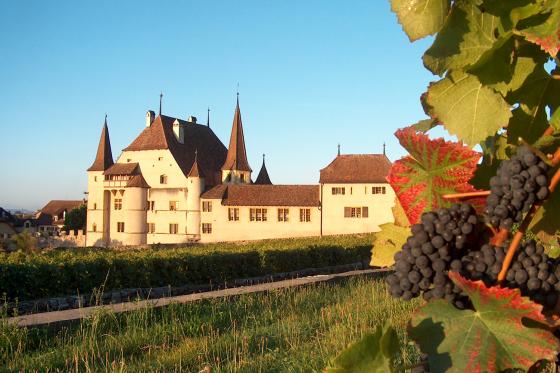 I love you - Wishbox - 1 coffret - plus de 25 expériences 4 