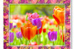 Bilderrahmen - gefüllt mit Blumen 