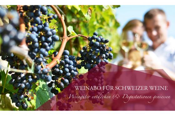 Weinabo Geschenk - 3 Lieferungen exzellenten Wein geniessen 6  Weinabo Geschenk - 3 Lieferungen exzellenten Wein geniessen 6